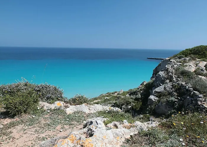 La Casa Di Paola Bed & Breakfast